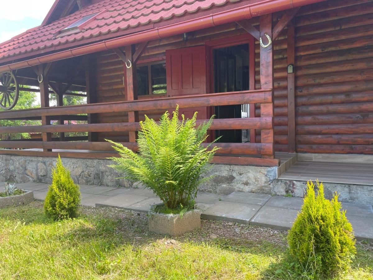 Cabana Transilvania Belis Bagian luar foto