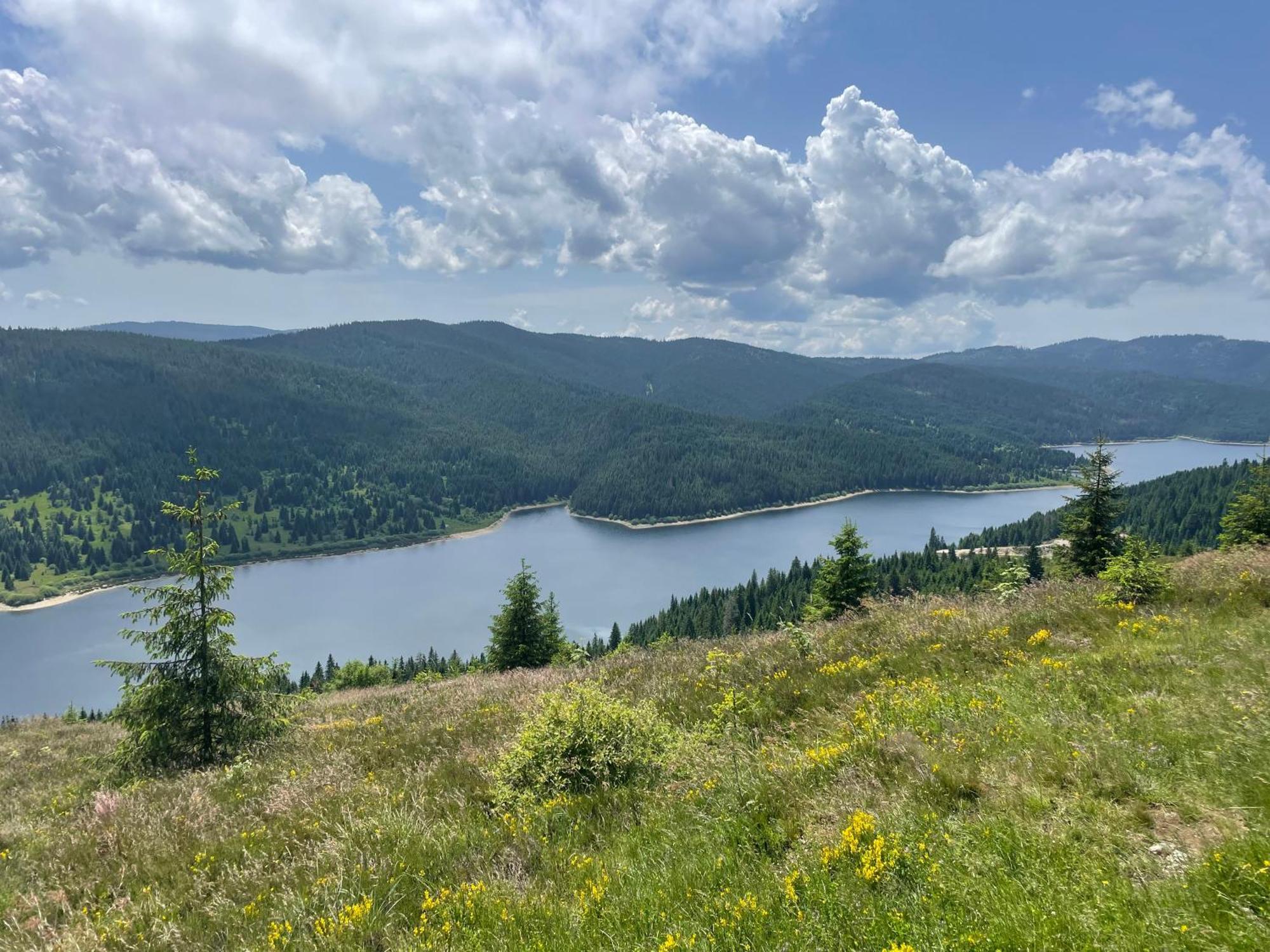 Cabana Transilvania Belis Bagian luar foto