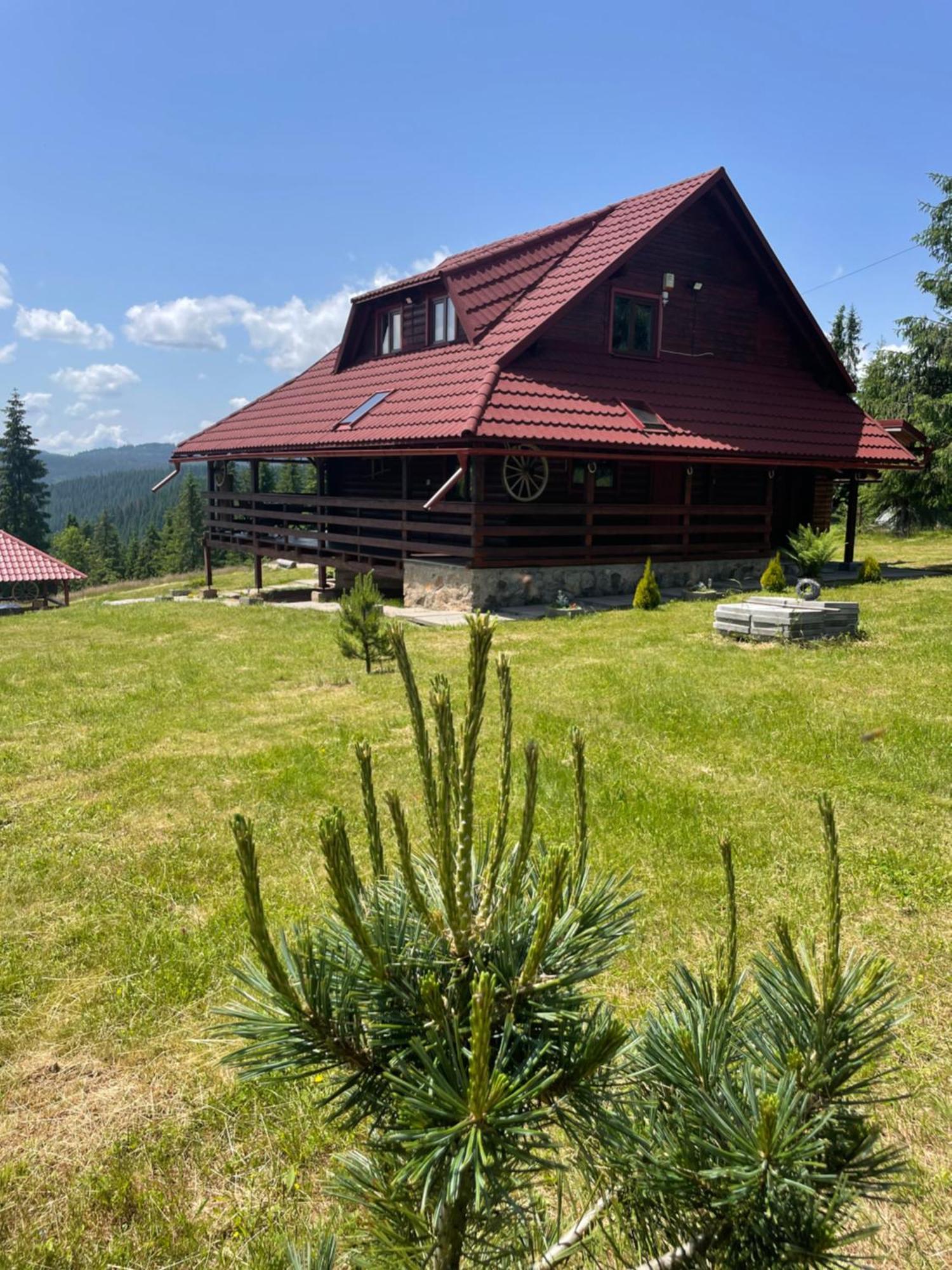 Cabana Transilvania Belis Bagian luar foto